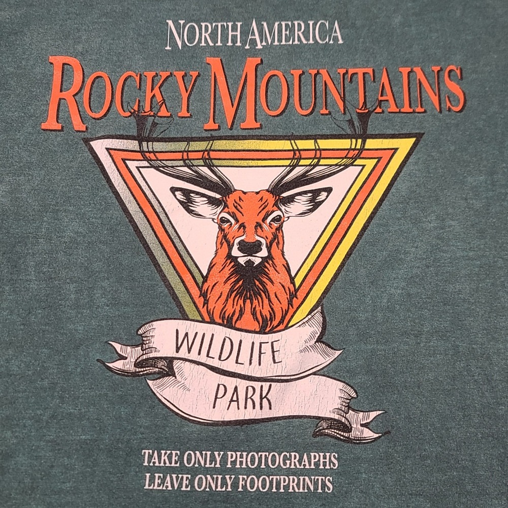 PrettyLittleThing Rocky Mountains Wildlife Tee Womens L Teal Graphic Retro Shirt
